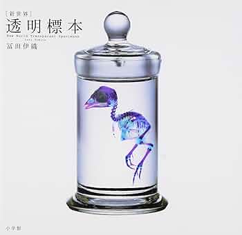 魚標本 透明フィルム包装 魚標本 透明フィルム包装